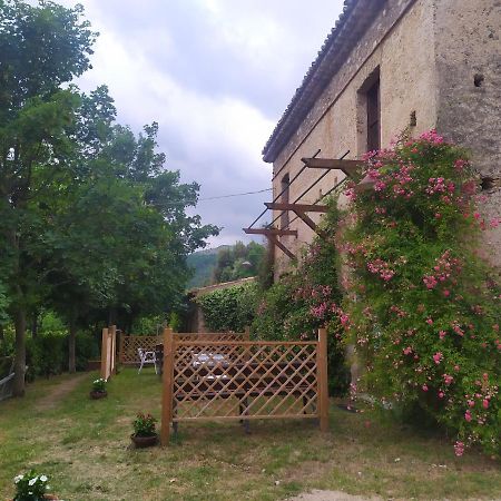 Agriturismo Colloreto Morano Calabro Dış mekan fotoğraf