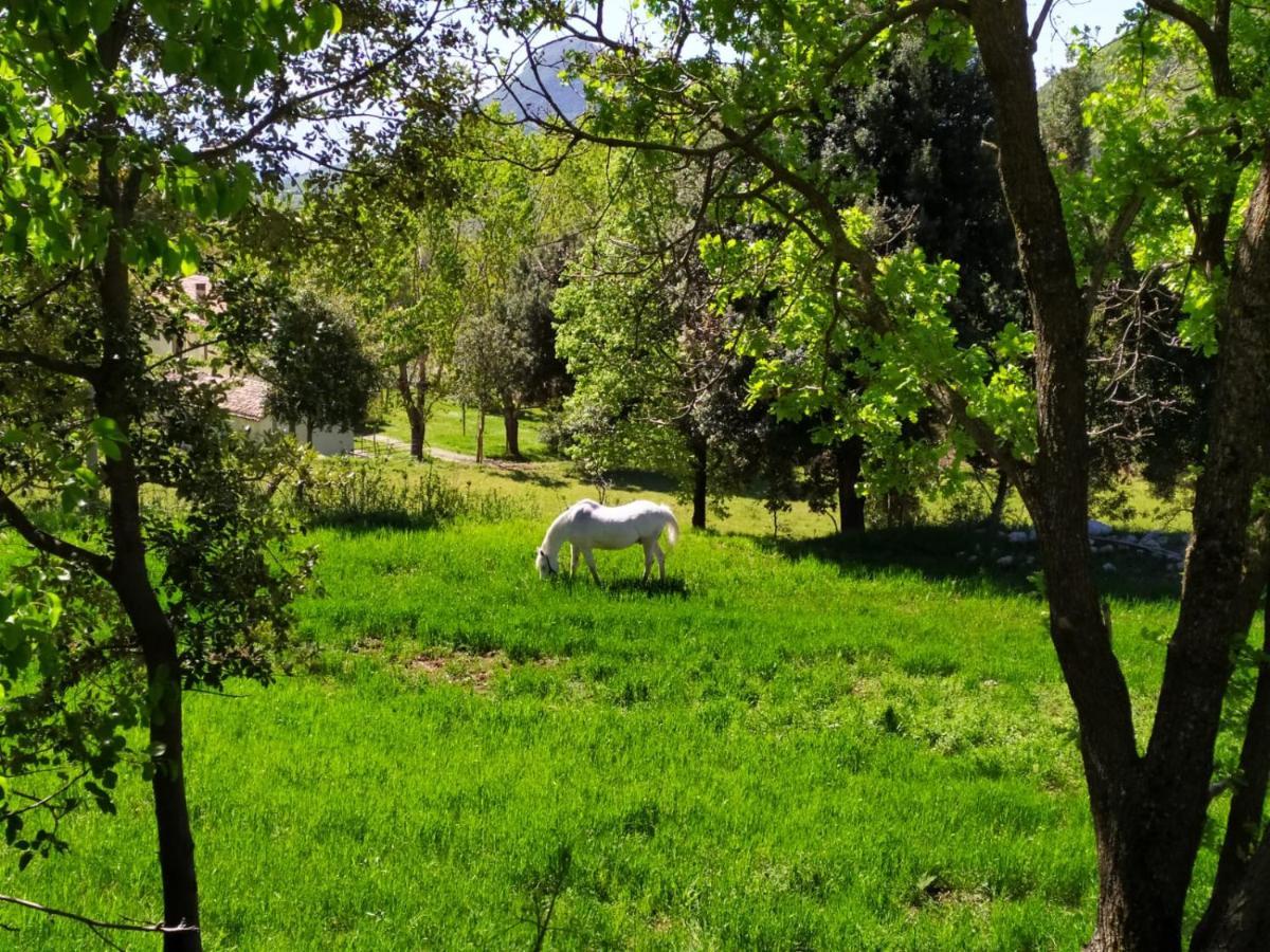 Agriturismo Colloreto Morano Calabro Dış mekan fotoğraf