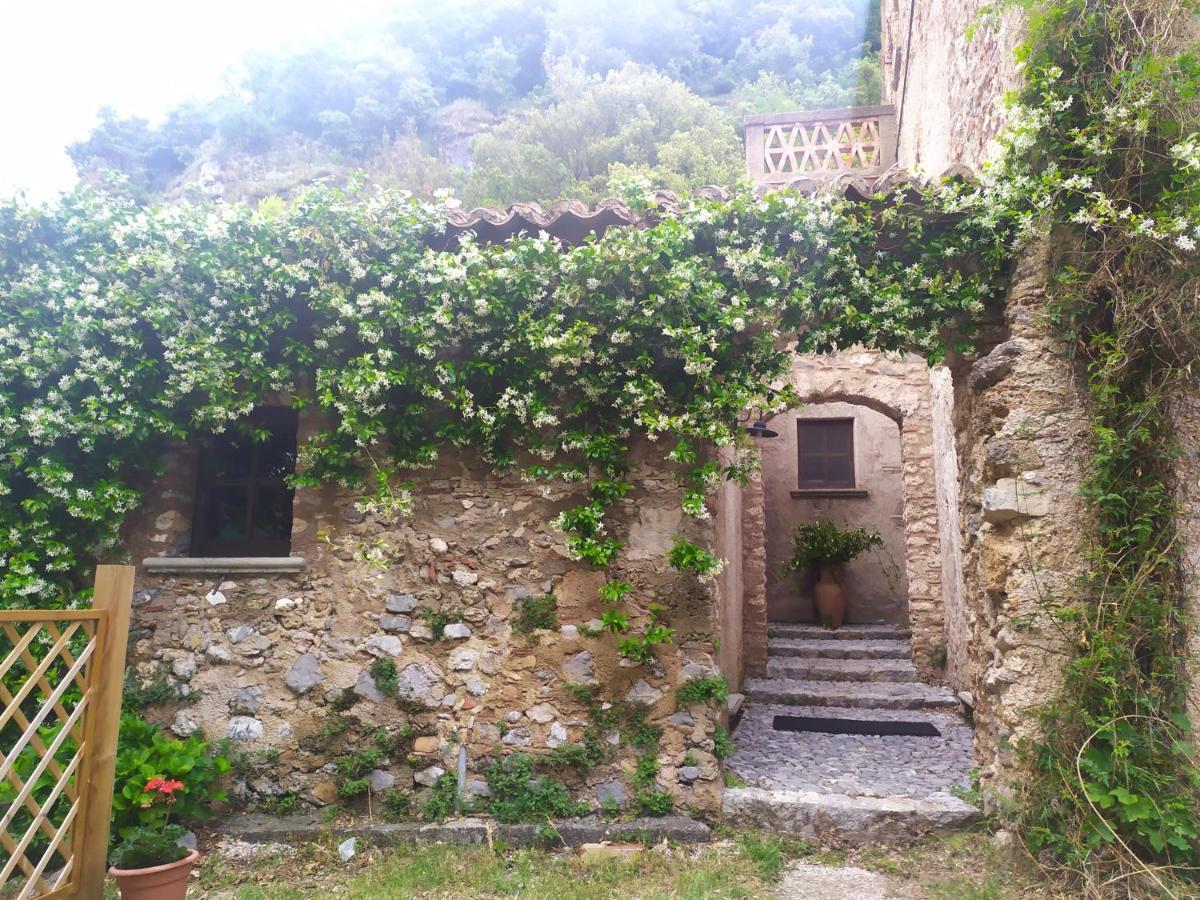 Agriturismo Colloreto Morano Calabro Dış mekan fotoğraf