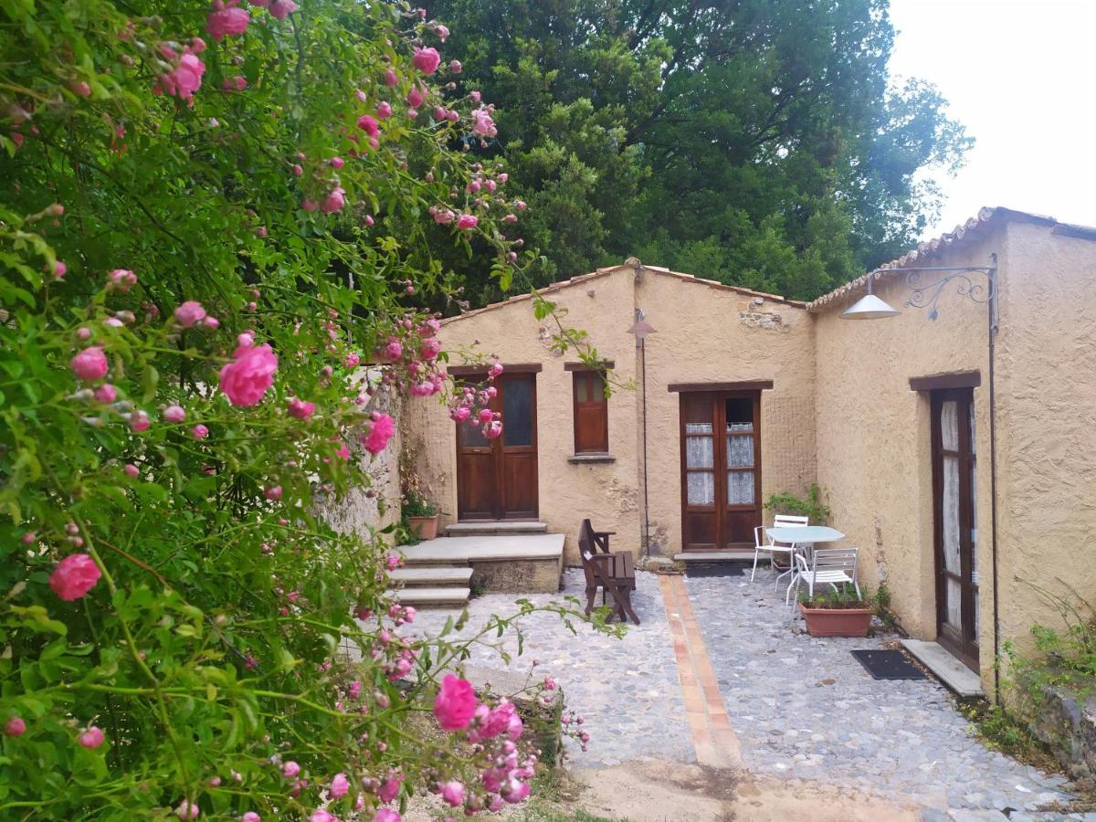 Agriturismo Colloreto Morano Calabro Dış mekan fotoğraf